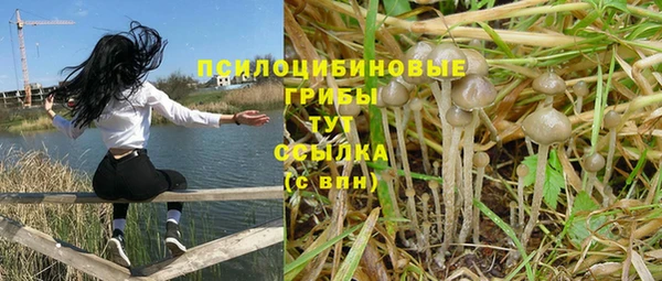 скорость Богородск